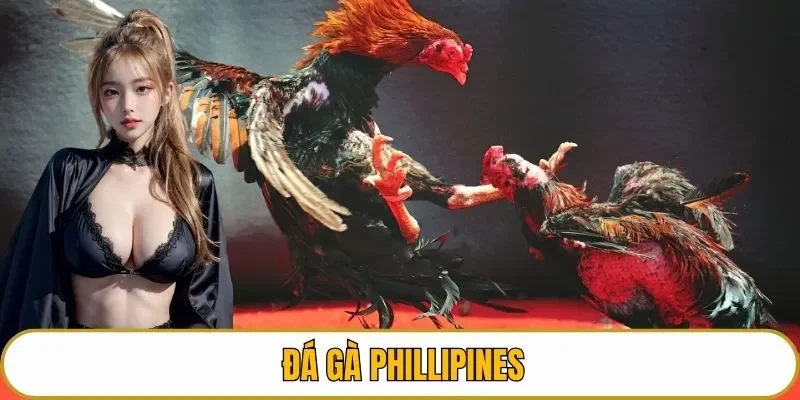 Đá gà Phillipines