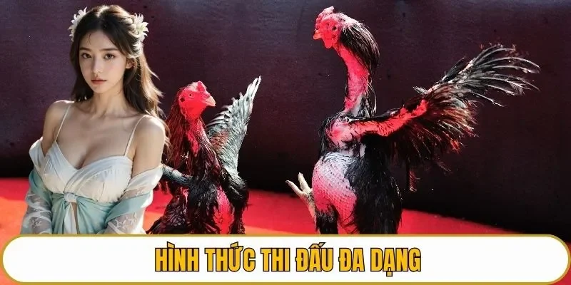 Hình thức thi đấu đa dạng