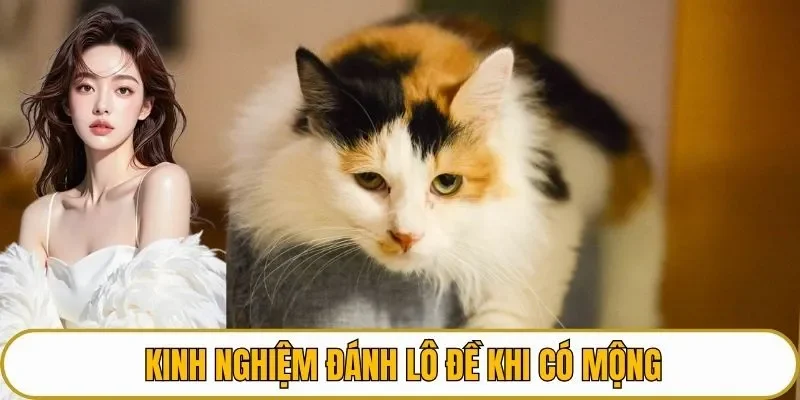 Kinh nghiệm đánh lô đề khi có mộng