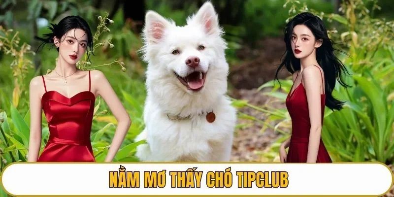 nằm mơ thấy chó